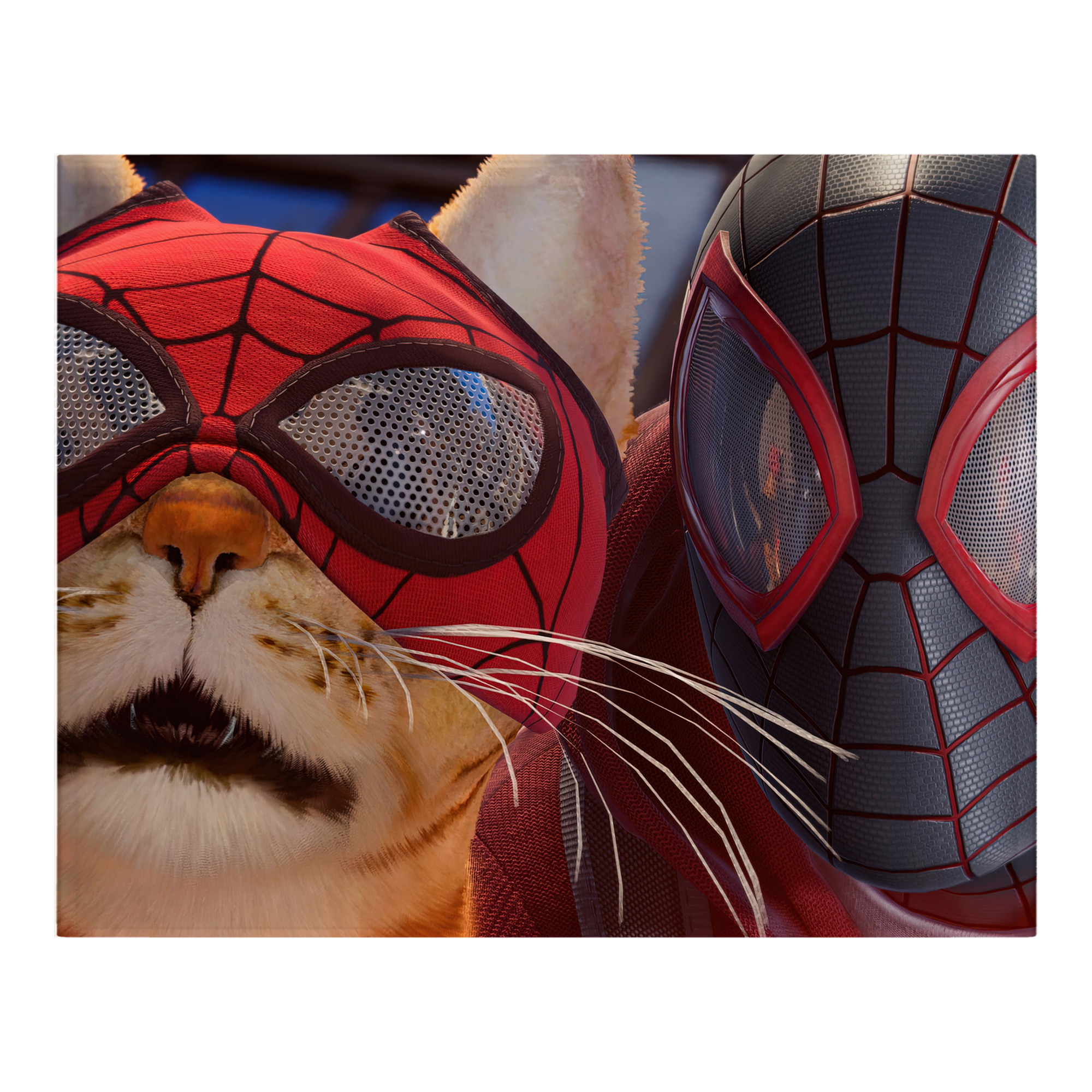 （画像用） Spider Man スパイダーマン フランネルブランケット・多サイズ対応（横型）