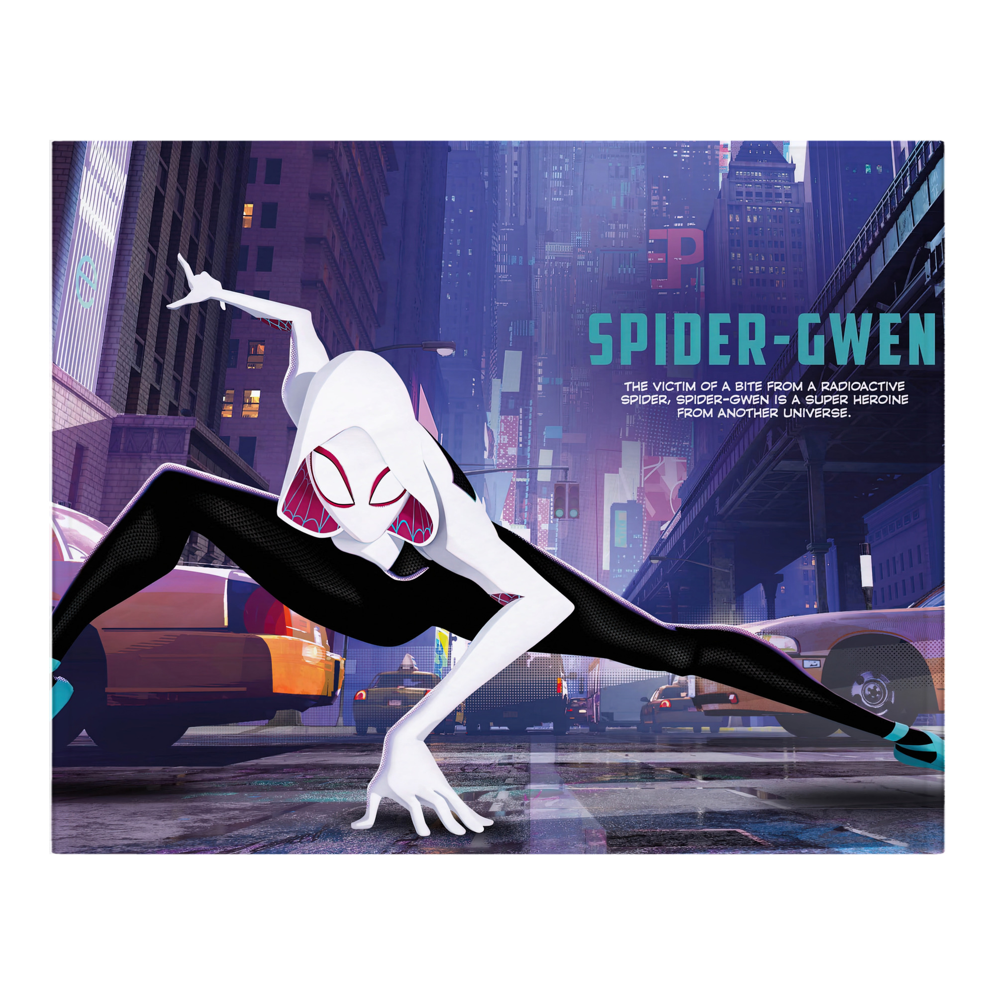 （画像用） Spider Man スパイダーマン フランネルブランケット・多サイズ対応（横型）