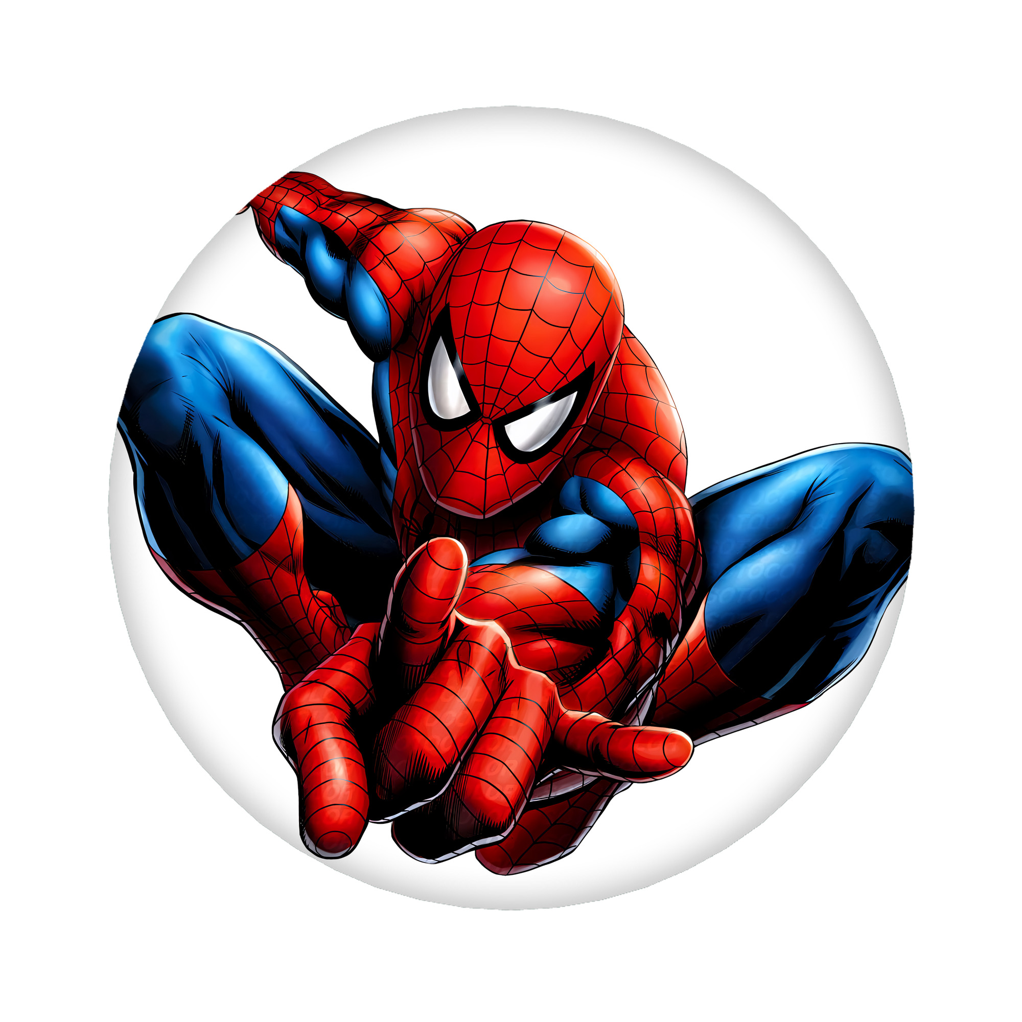 （画像用） Spider Man スパイダーマン 6cm 缶バッジ 複数セット