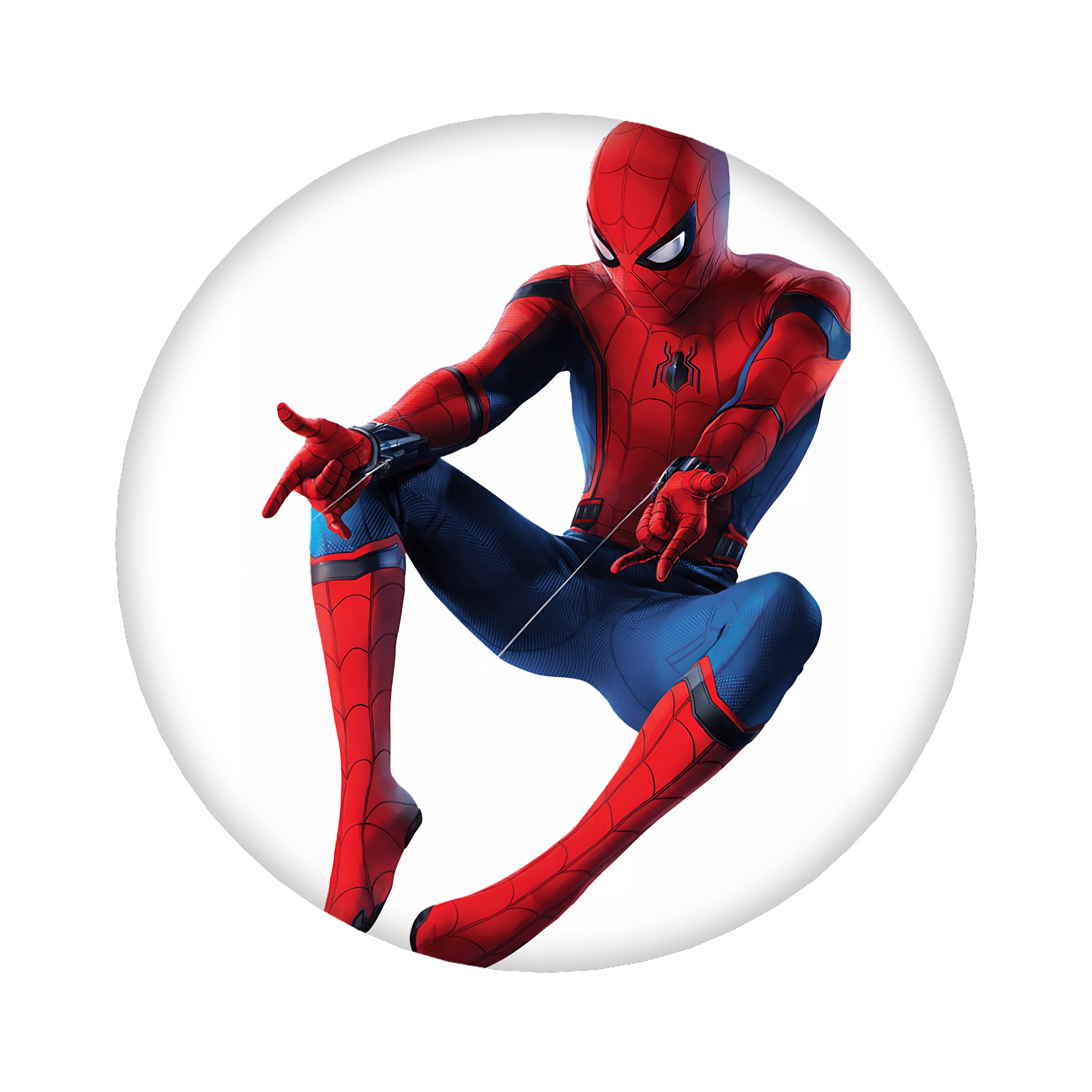 （画像用） Spider Man スパイダーマン 6cm 缶バッジ 複数セット