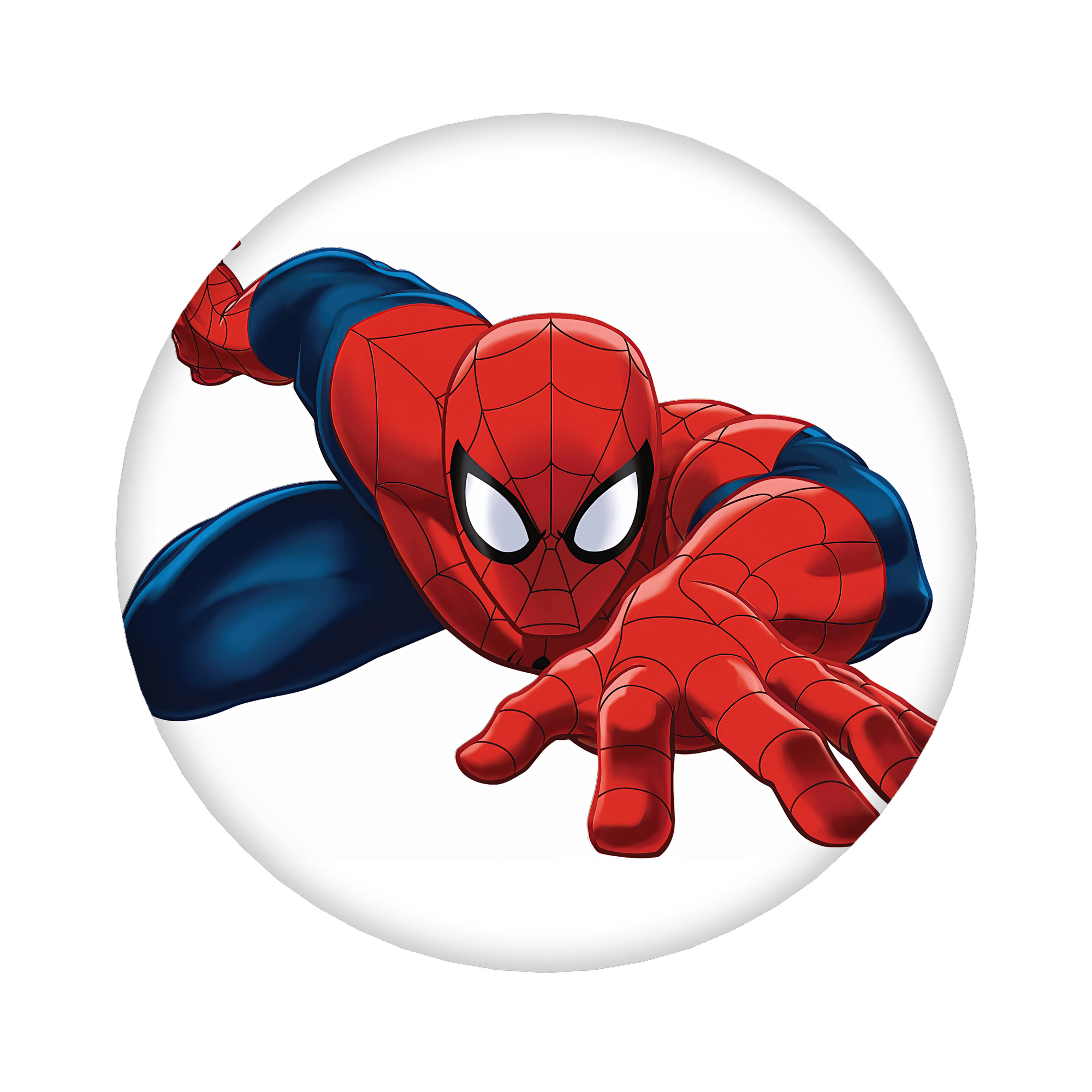 （画像用） Spider Man スパイダーマン 6cm 缶バッジ 複数セット