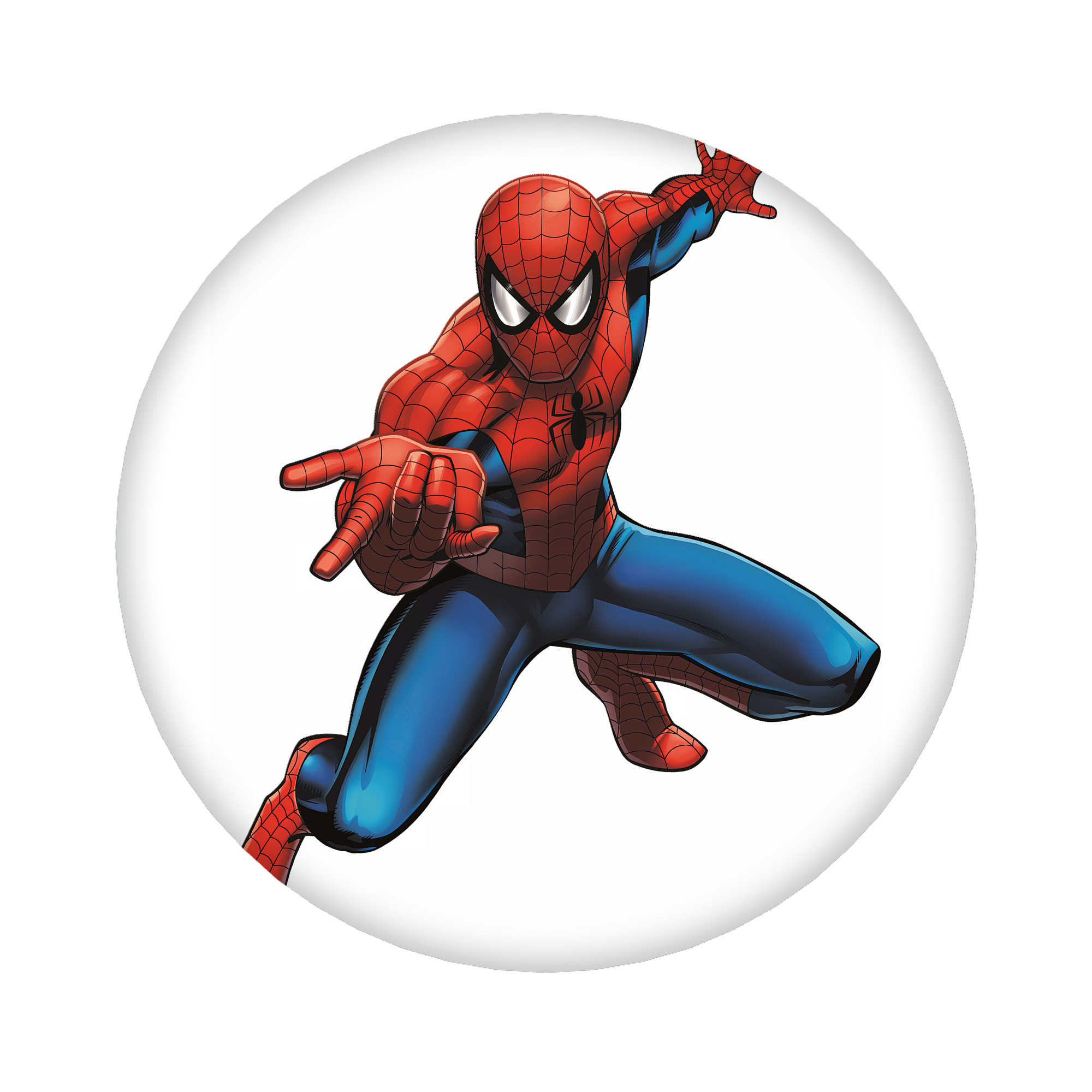 （画像用） Spider Man スパイダーマン 6cm 缶バッジ 複数セット