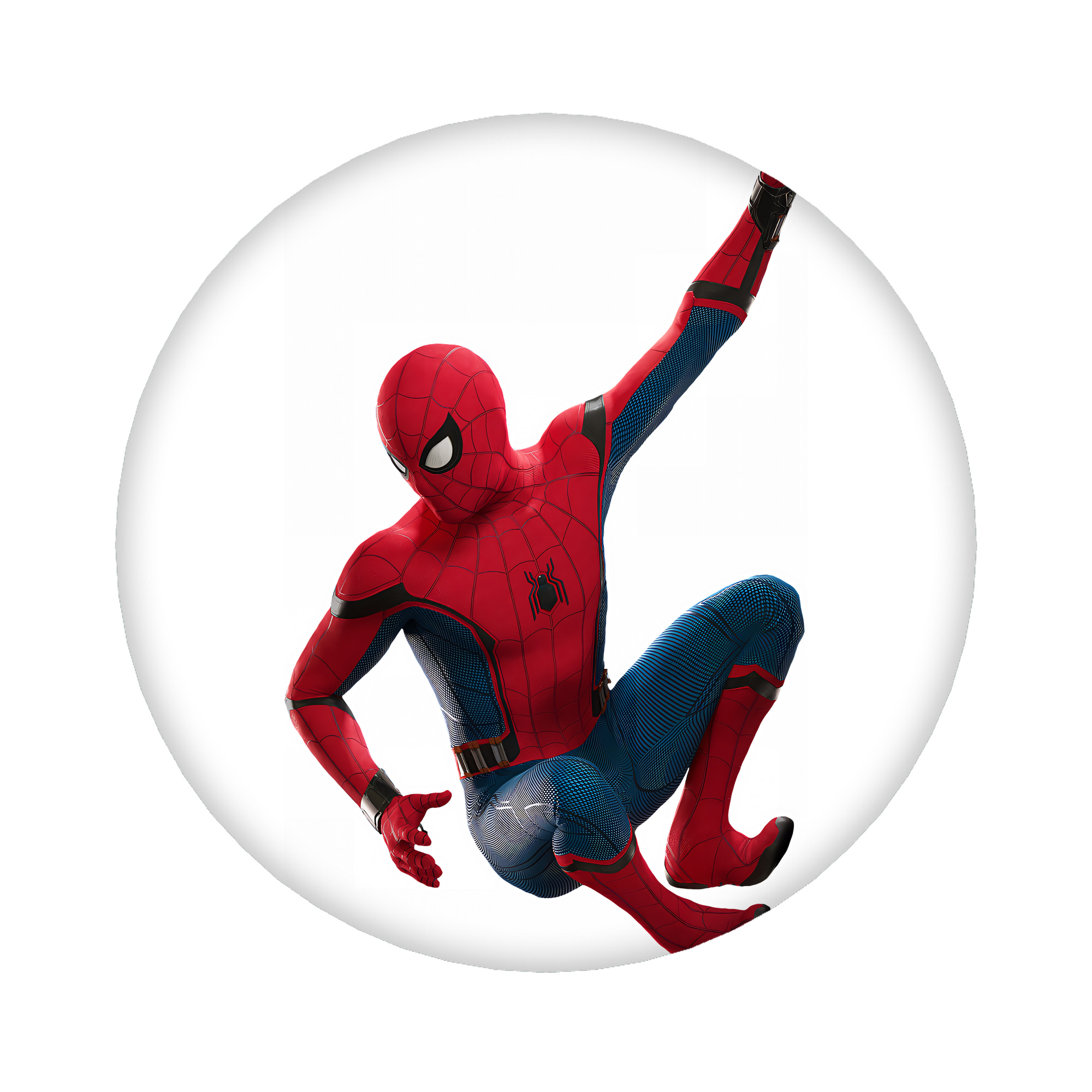 （画像用） Spider Man スパイダーマン 6cm 缶バッジ 複数セット