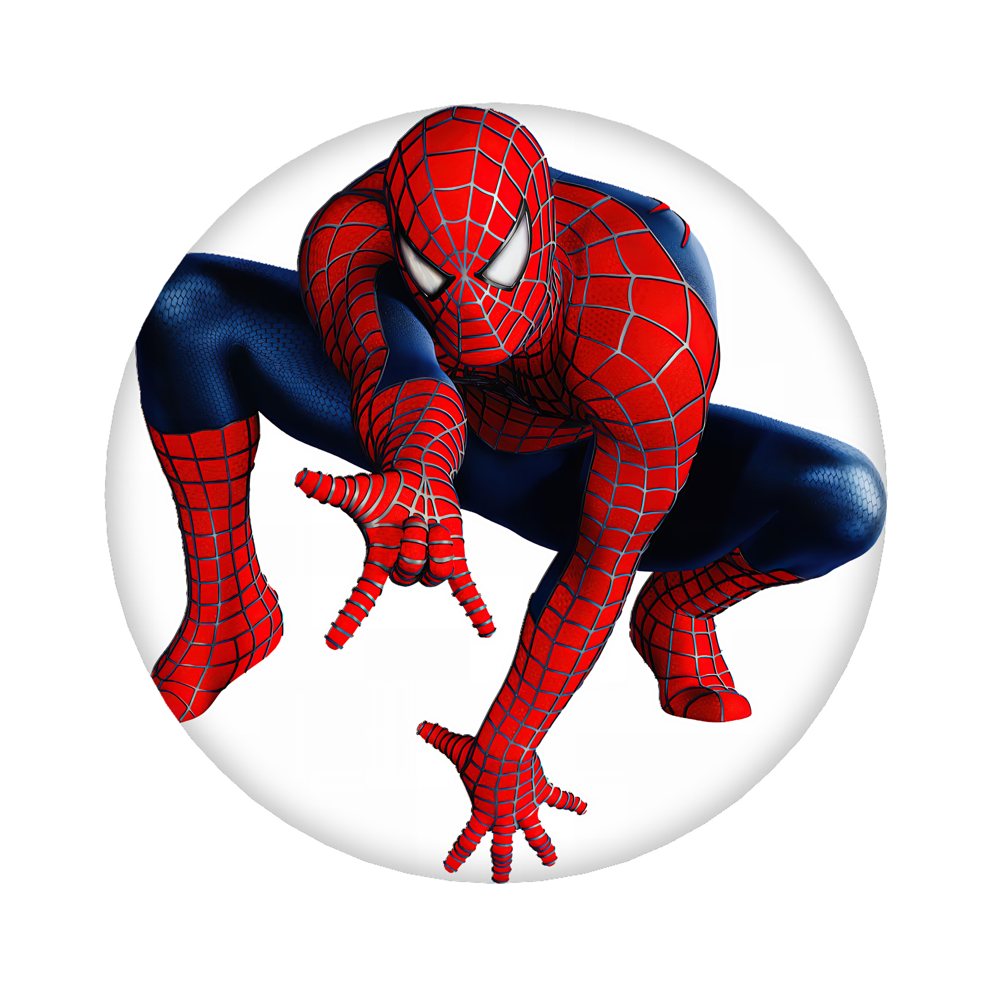（画像用） Spider Man スパイダーマン 6cm 缶バッジ 複数セット