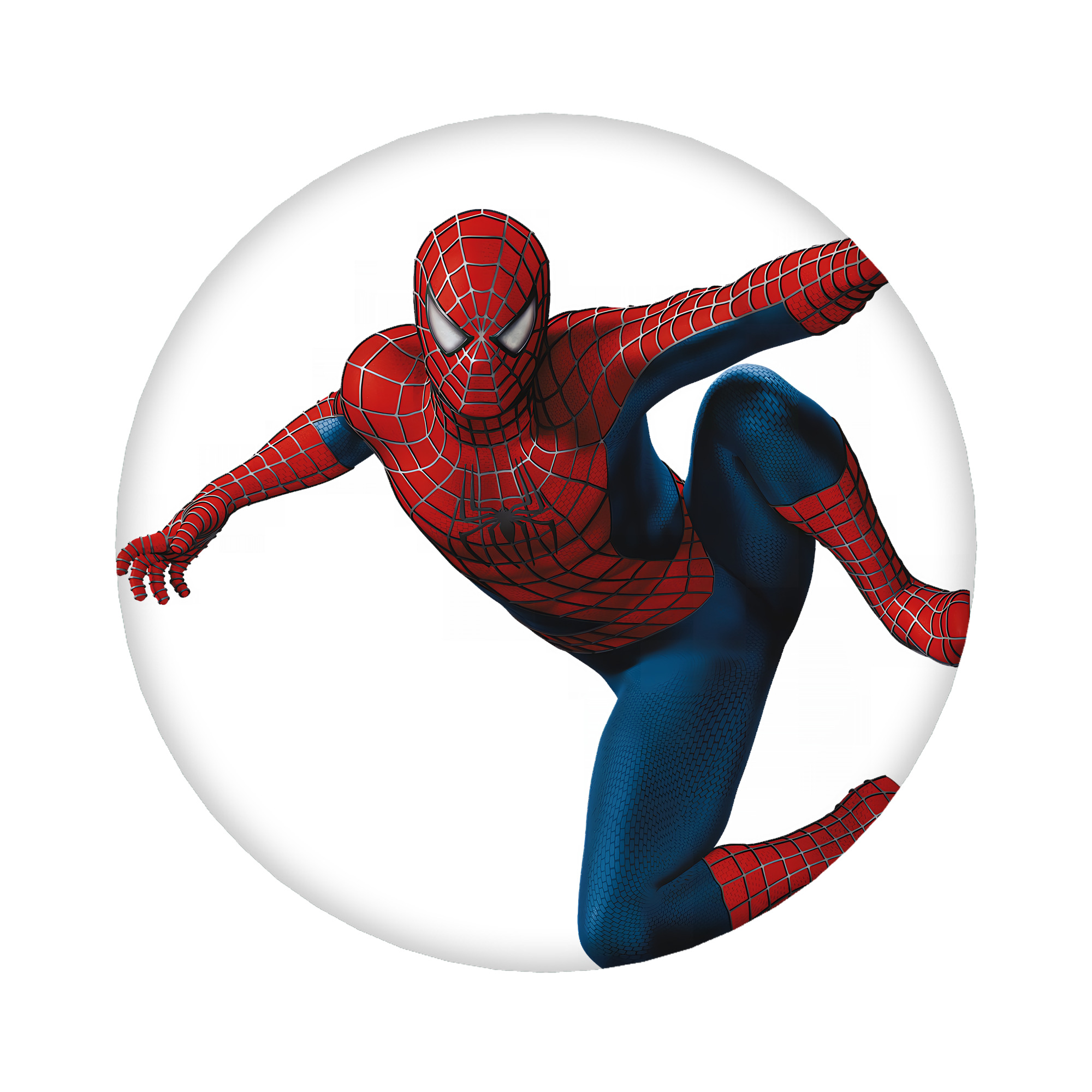 （画像用） Spider Man スパイダーマン 6cm 缶バッジ 複数セット