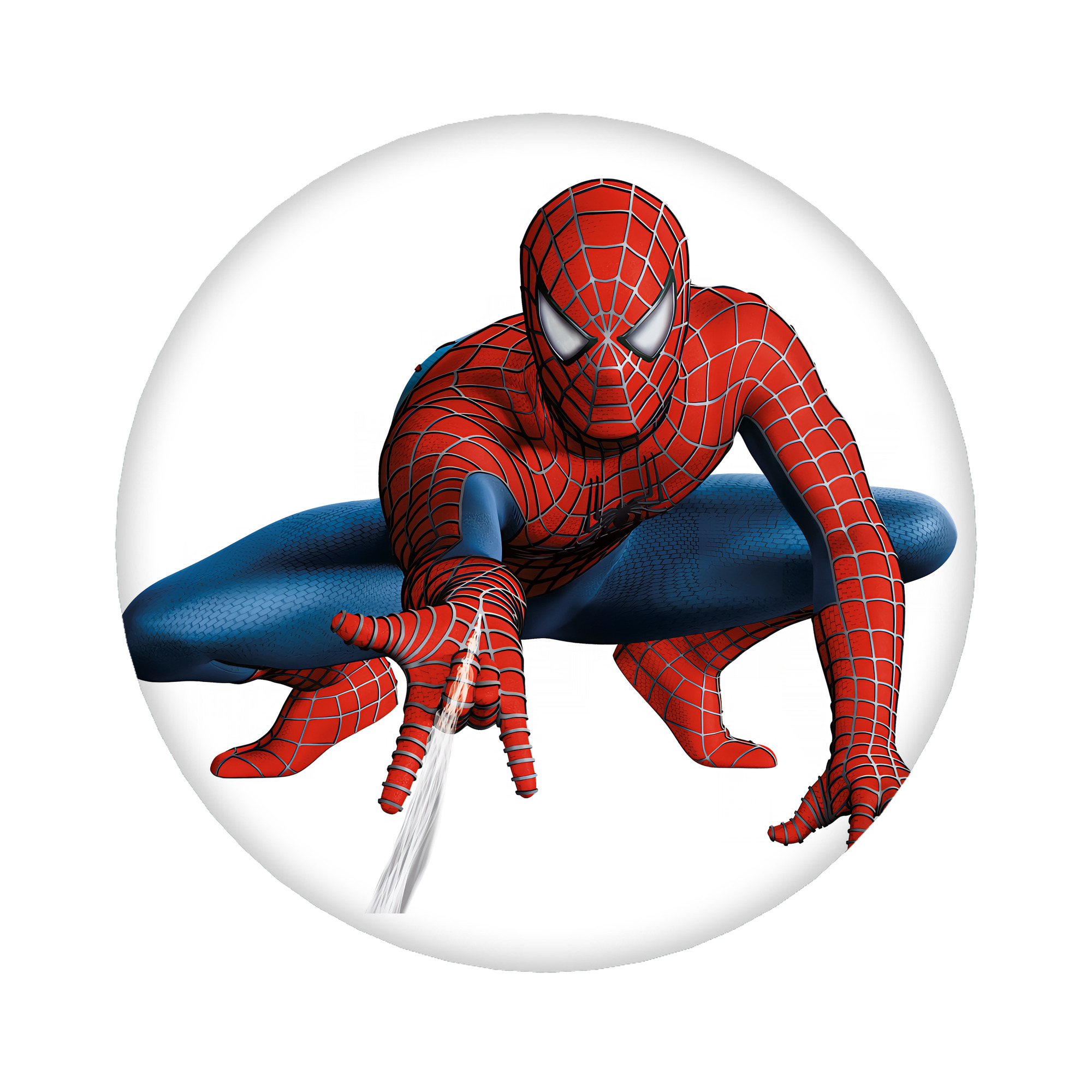（画像用） Spider Man スパイダーマン 6cm 缶バッジ 複数セット