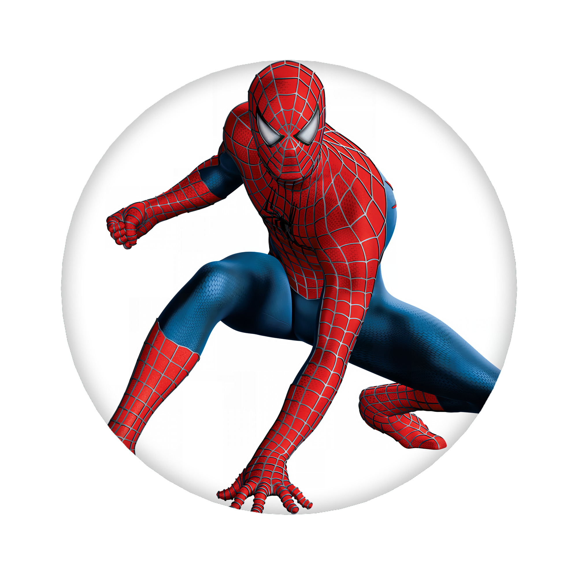 （画像用） Spider Man スパイダーマン 6cm 缶バッジ 複数セット