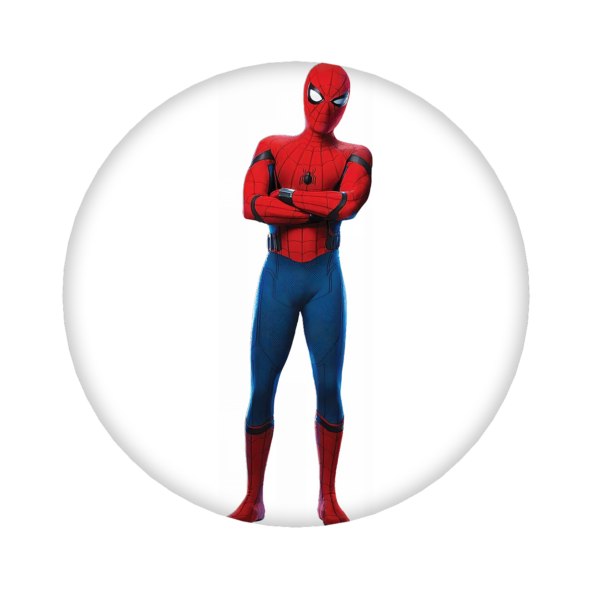（画像用） Spider Man スパイダーマン 6cm 缶バッジ 複数セット