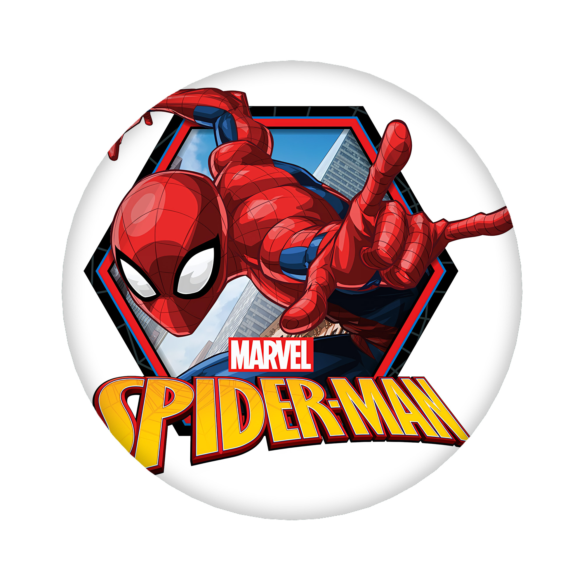 （画像用） Spider Man スパイダーマン 6cm 缶バッジ 複数セット