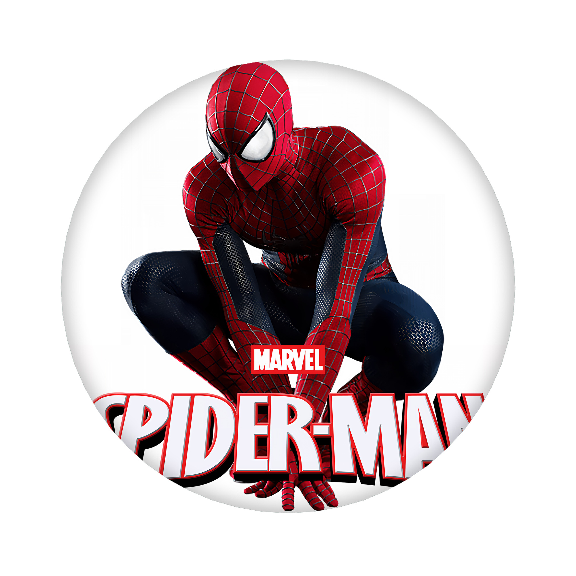（画像用） Spider Man スパイダーマン 6cm 缶バッジ 複数セット
