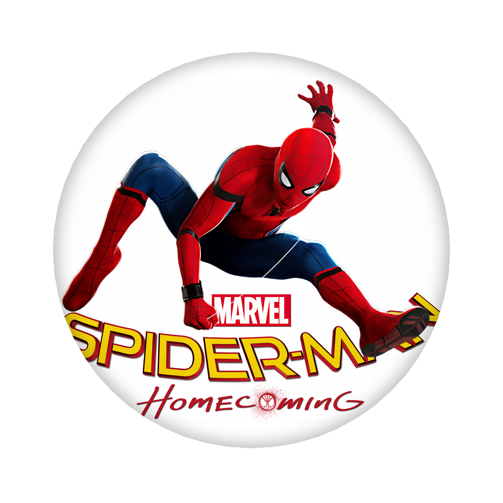 （画像用） Spider Man スパイダーマン 6cm 缶バッジ 複数セット