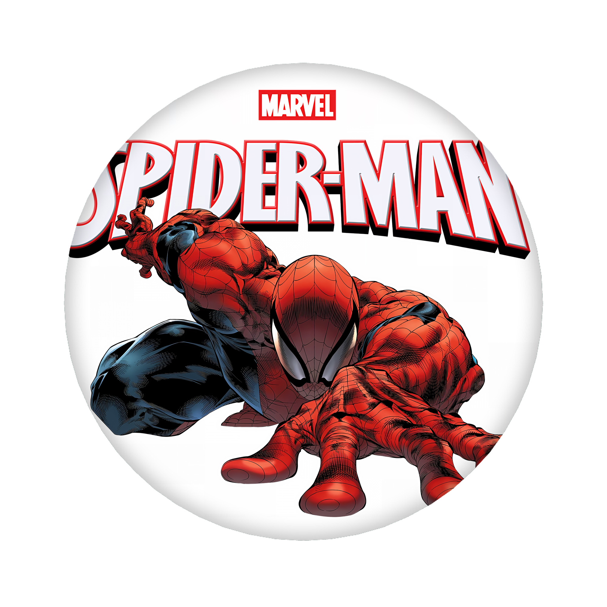 （画像用） Spider Man スパイダーマン 6cm 缶バッジ 複数セット