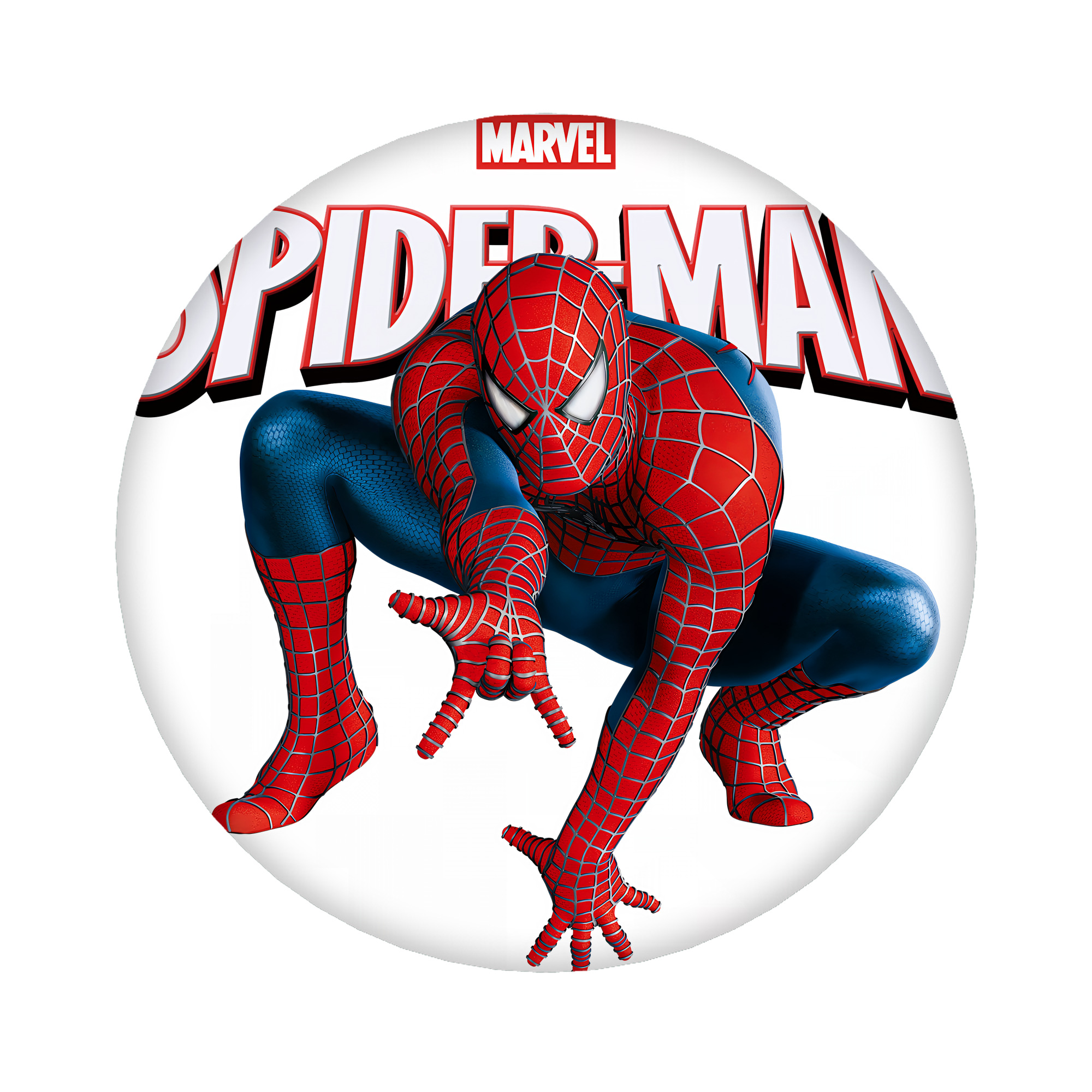 （画像用） Spider Man スパイダーマン 6cm 缶バッジ 複数セット